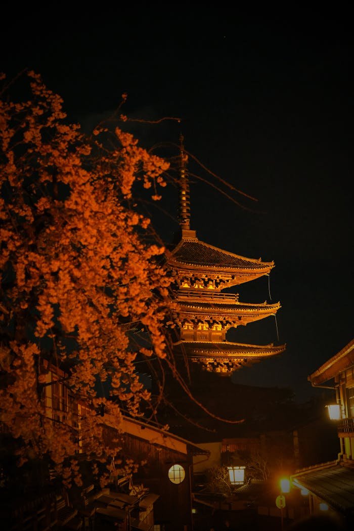 Scenic night view of Yasaka Pagoda surrounded by cherry blossoms in Kyoto, Japan.